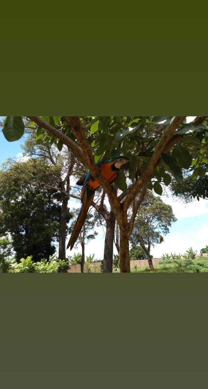Pousada Cafe Da Roca Campos Gerais Exterior photo